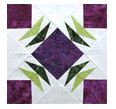 Ozark Trail Quilt In A Day 